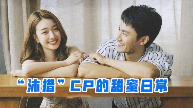 白孔雀救援